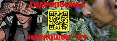 сатива Кандалакша