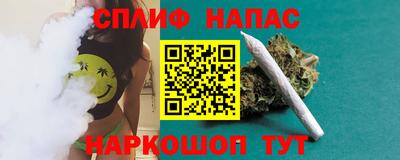 сатива Кандалакша